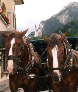 Los carros de caballos son un medio de transporte para llegar al castillo